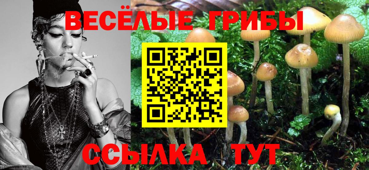 Галлюциногенные грибы Magic Shrooms  Вход с VPN  Ангарск 